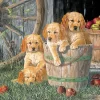 Cobble Hill Puzzel - Puppy Pail 400 Stukjes