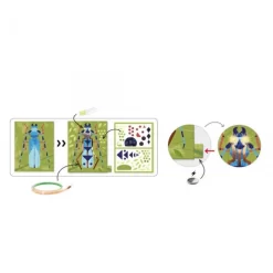 Djeco Knutselset Elektro - Insectarium DJ09315 -Djeco Winkel djeco djeco knutselset elektro insectarium dj09315 2