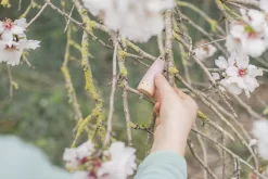 Grapat Kabouters "Sticks" 18-178 10 Grapat Kabouters "Sticks" 18-178 -Djeco Winkel grapat grapat kabouters sticks 18 178 4