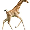 Puzzel I AM Lil' - Giraffe 100 Stukjes