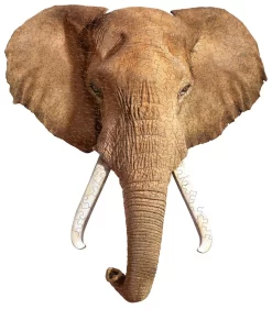 Puzzel I AM Mini - Olifant - 300 Stukjes