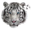Puzzel I AM Mini - White Tiger 300 Stukjes