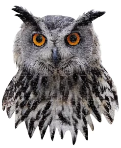 Puzzel I AM - Uil 550 Stukjes