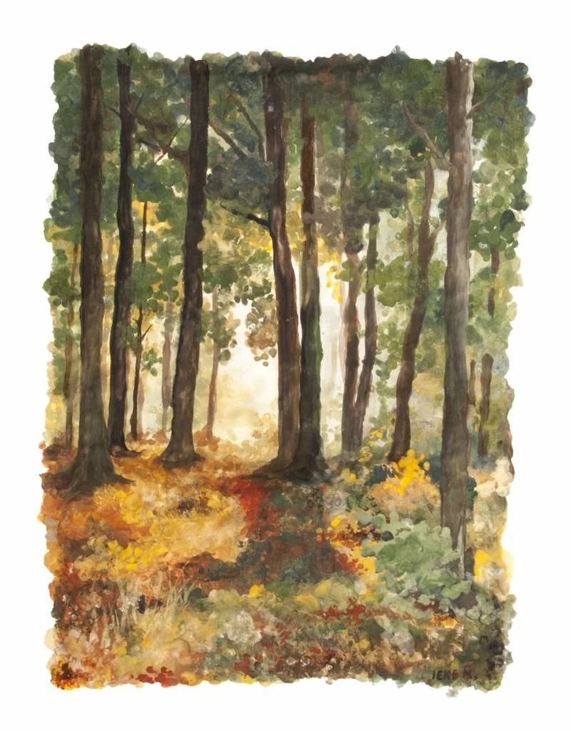 Natural Earth Paint Kit - 6 Kleuren Natuurlijke Kinderverf 4 Natural Earth Paint Kit - 6 Kleuren Natuurlijke Kinderverf - Afbeelding 4