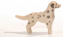 Ostheimer Dalmatiër 10511